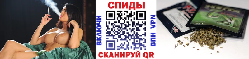 Бутират буратино  магазин    Кашира 