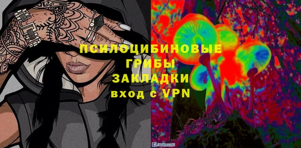 ГАЛЛЮЦИНОГЕННЫЕ ГРИБЫ Навашино