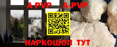 крисы Гагарин