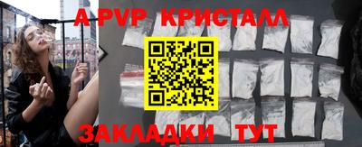 крисы Гагарин