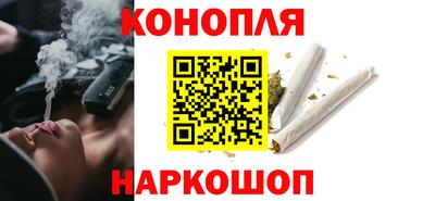 крисы Гагарин