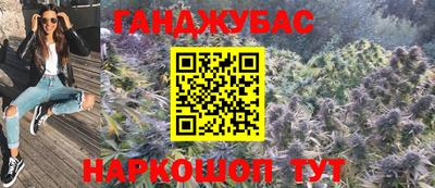 крисы Гагарин
