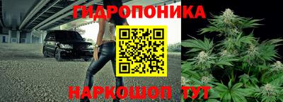 прущий лед Гатчина