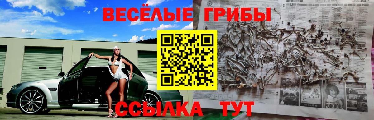 Галлюциногенные грибы Cubensis Кашира