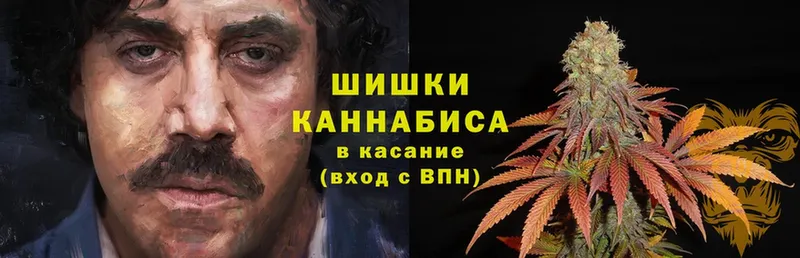 сколько стоит  Кашира  Бошки Шишки сатива 